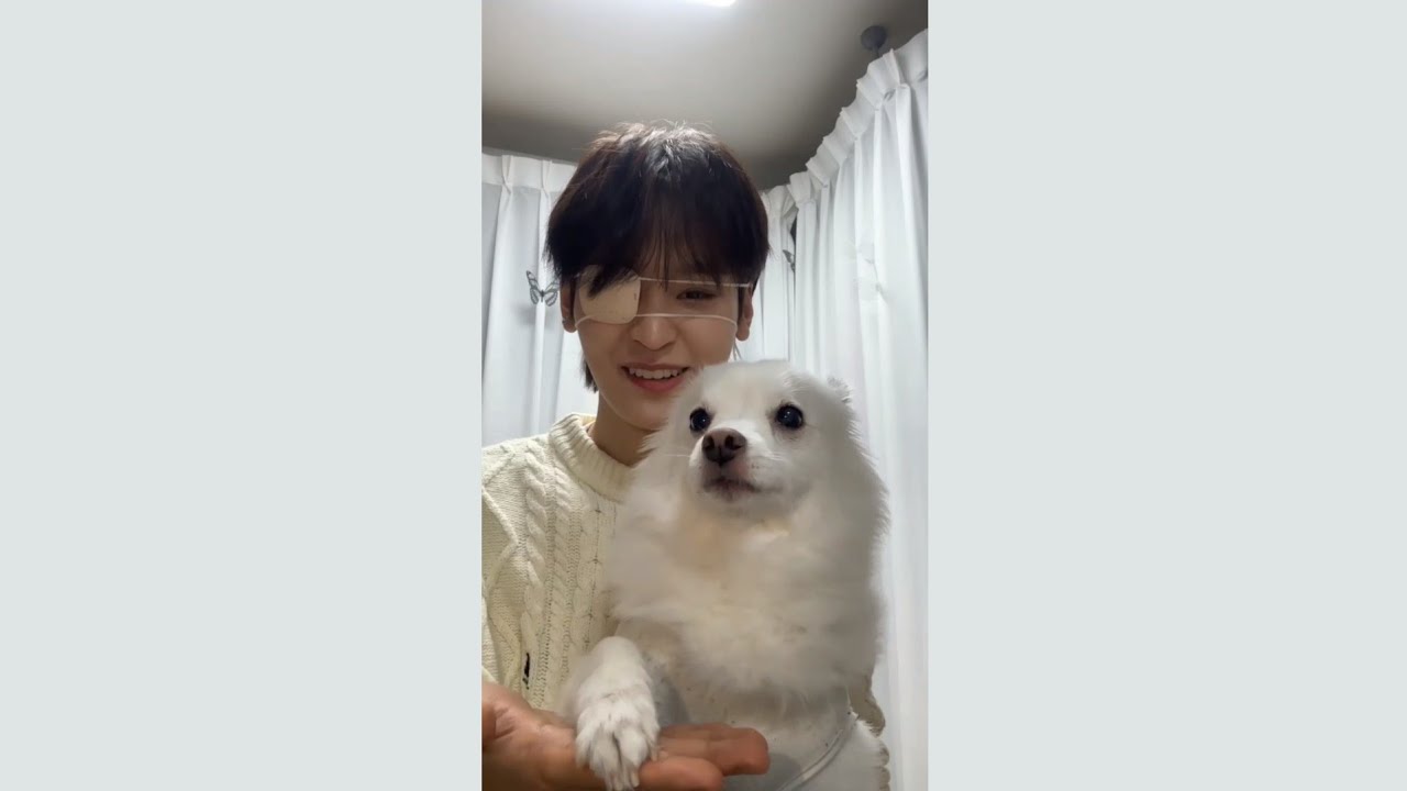 231231 템페스트 태래 버블 라이브