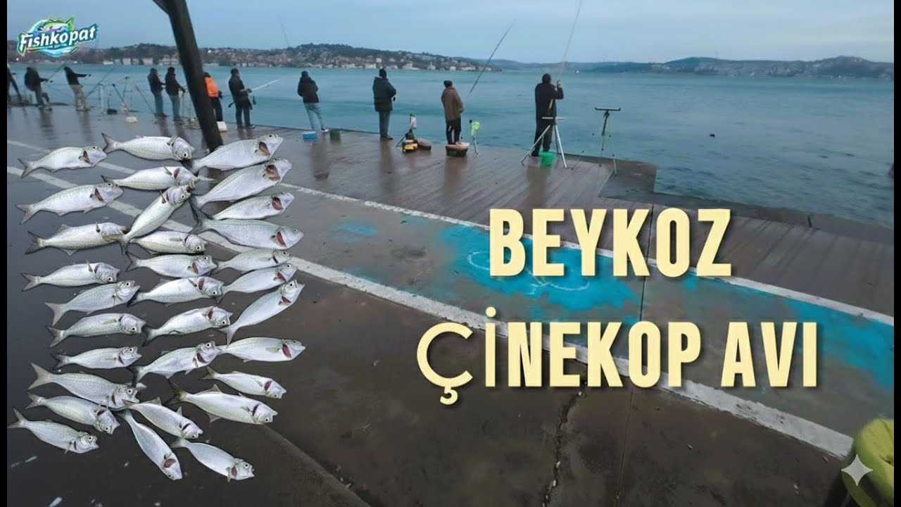 Beykoz'da balığın içine düştük !!!