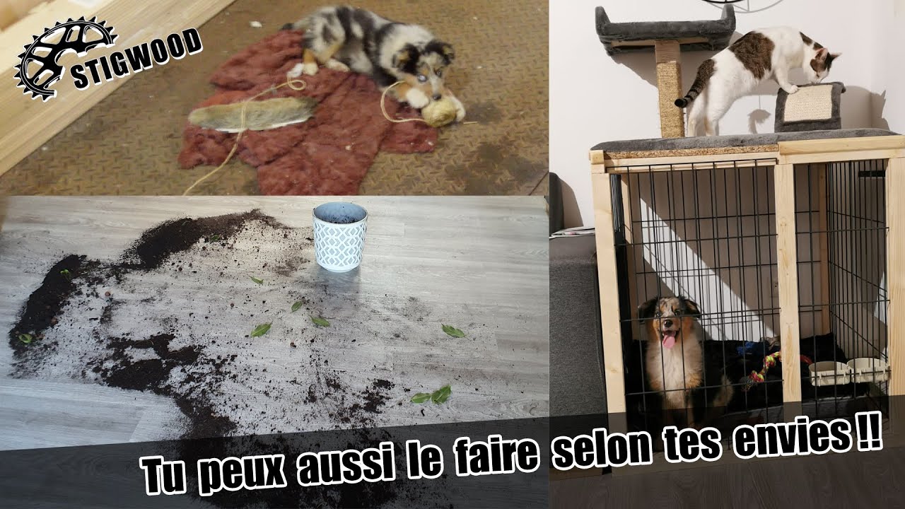 Fabriquer une cage pour chien et un arbre à chat  (Possibilités infinies)