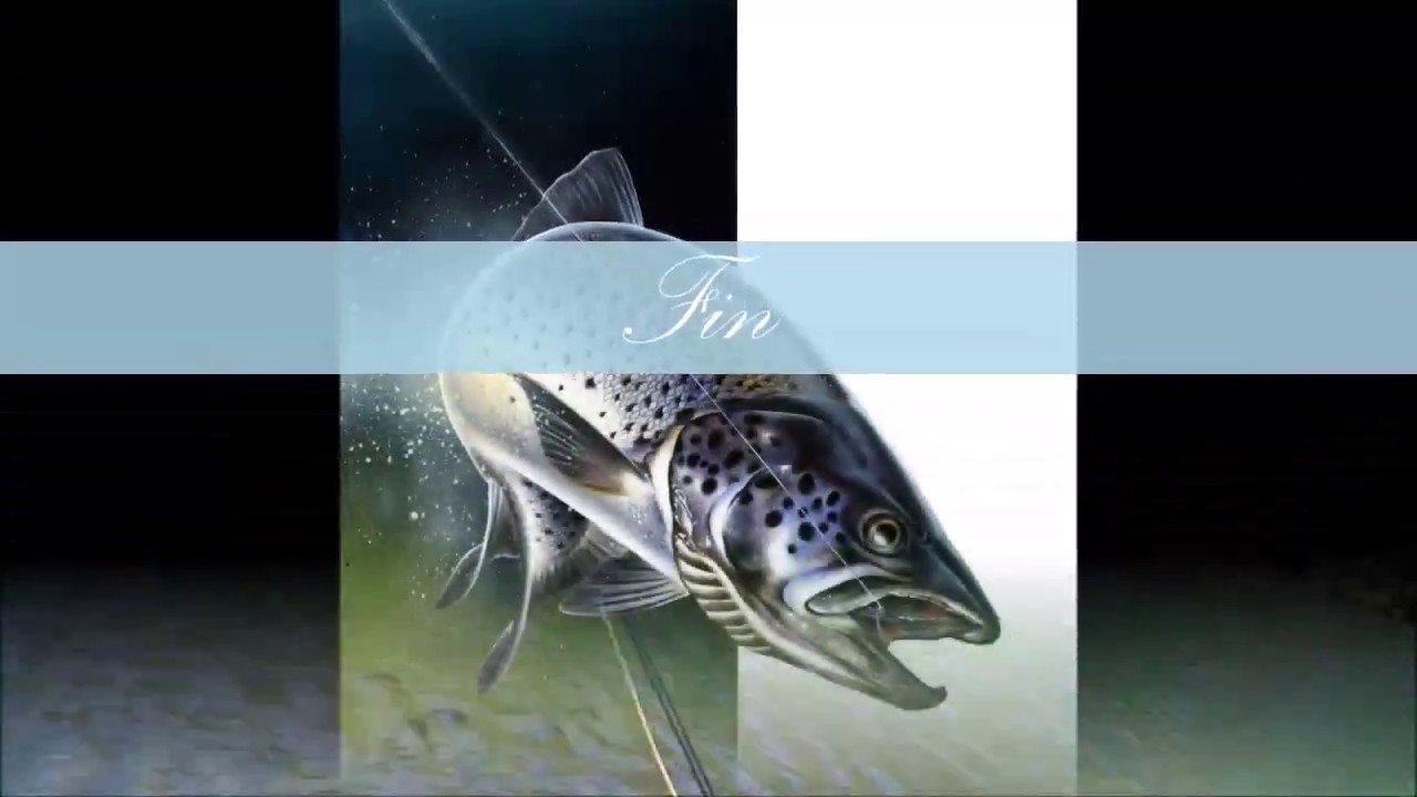 Pêche à la mouche au lac de  Saint Apollinaire