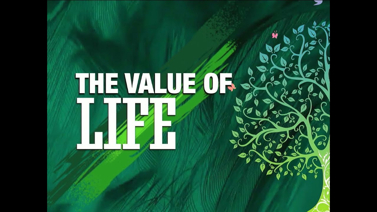 The Value of Life