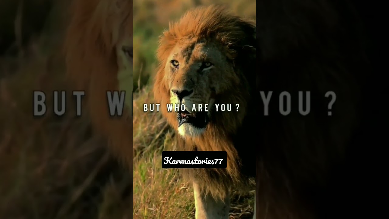 16#karma