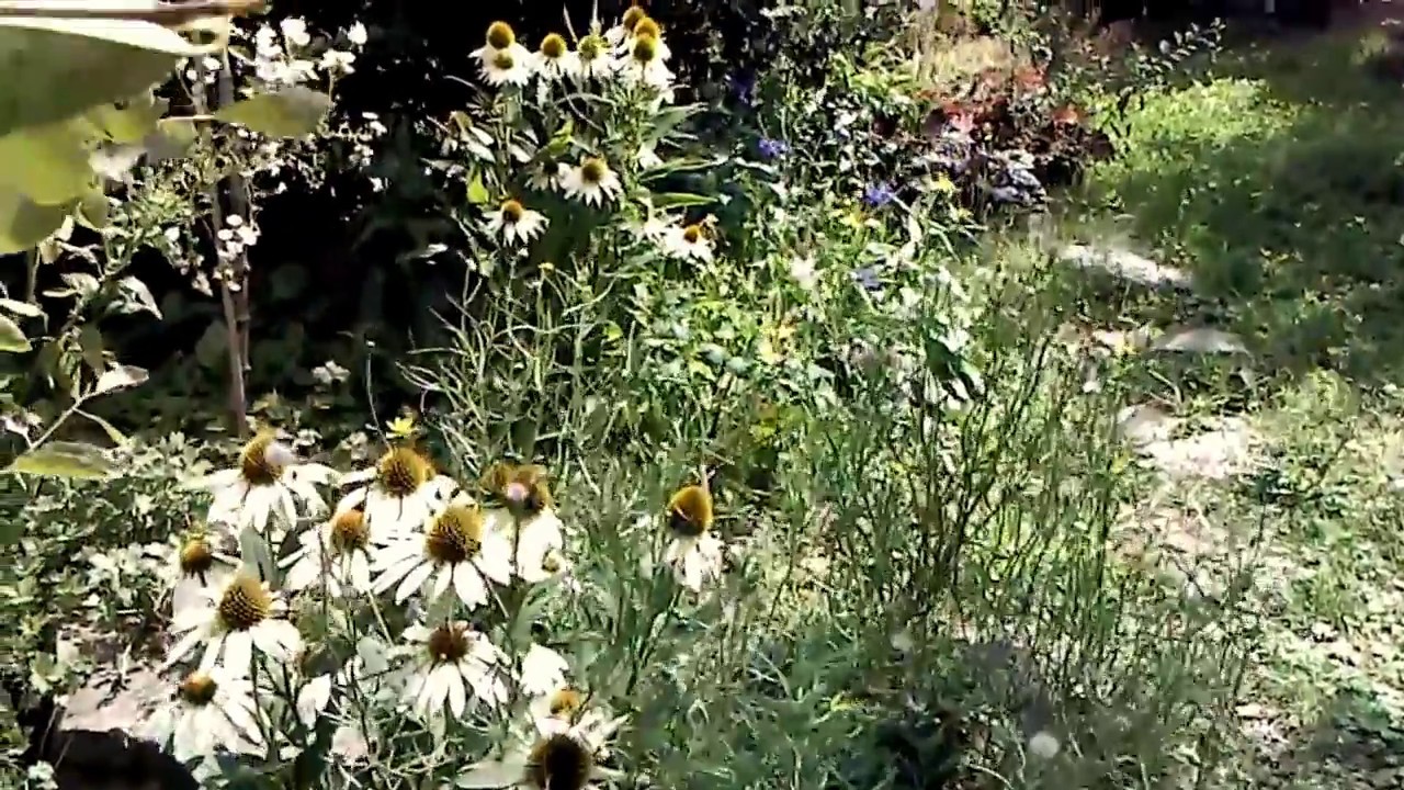 Eschhofener Garten
