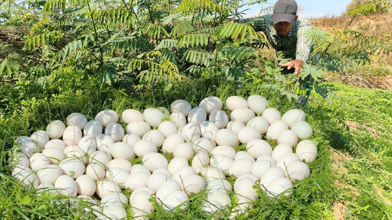 Amazing, a male fisherman with an egg in a grass bowl.