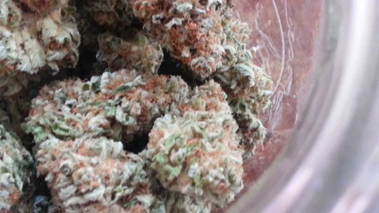 In The Stash: Blue Widow