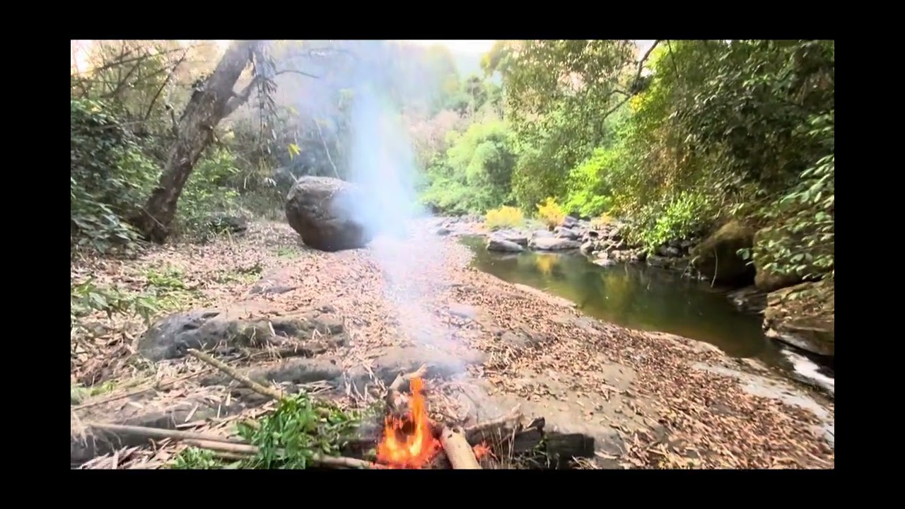 phamtuankh@nh2026 l rừng nguyên sinh baoloc l đèo baoloc l lamdong l Vietnam 