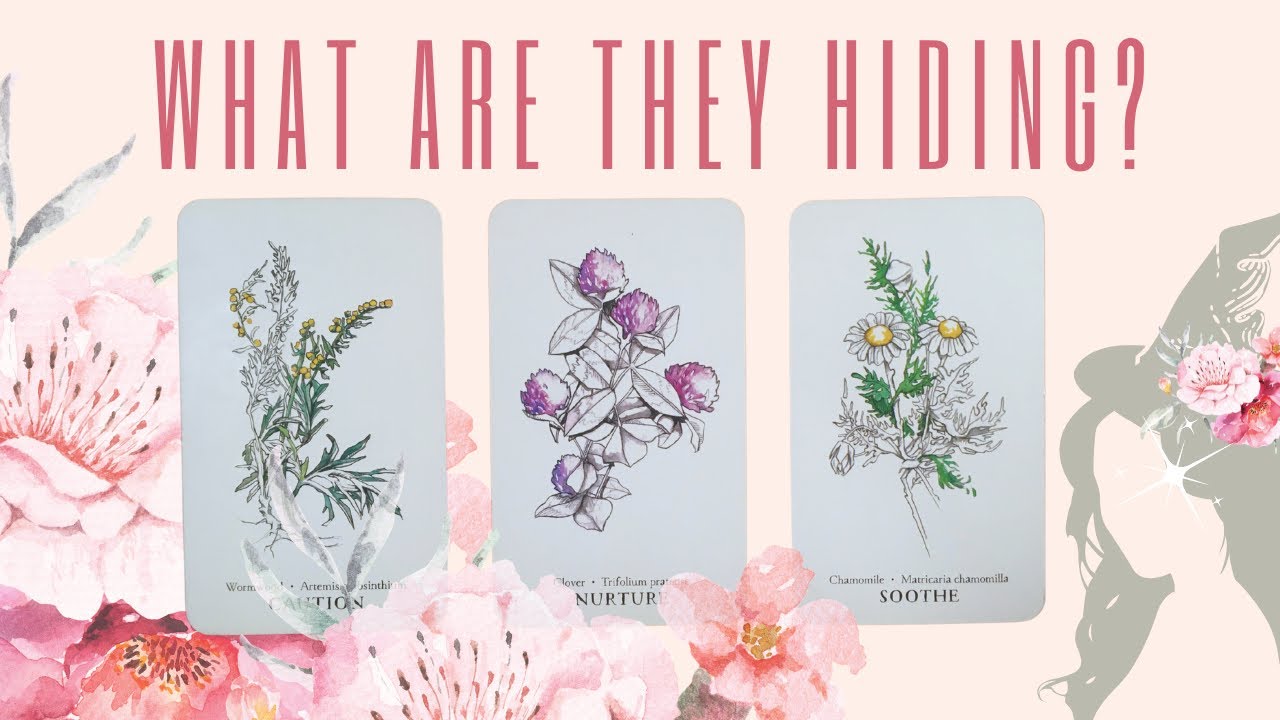 PICK A CARD: WHAT ARE THEY HIDING????? 🤔