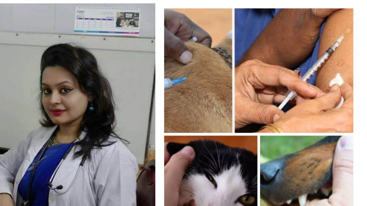 জলাতঙ্ক (Rabies), জলাতঙ্কের টিকা, Rabies Vaccination, Cat bite, Dog bite