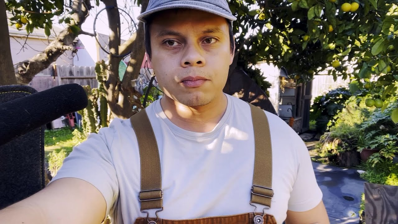 Story: The Bat (Dressed) Man
