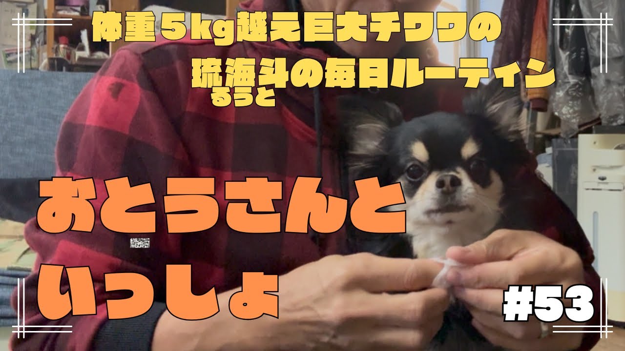 #53 おとうさんといっしょ　歯磨き上手かな？そして揃ってしまった勇者たち