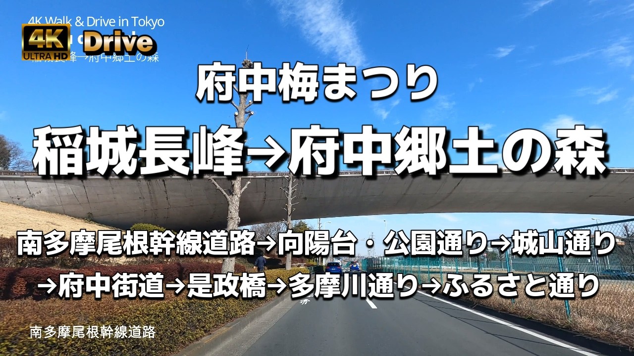【ドライブ4K】【稲城長峰→府中郷土の森～府中梅まつり】【南多摩尾根幹線道路→向陽台・公園通り→城山通り→府中街道→是政橋→多摩川通り→ふるさと通り】【最後の多摩NT～美しい電柱のない街・長峰向陽台】