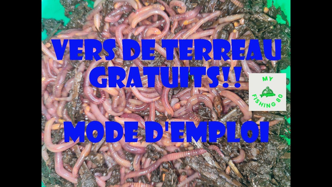 Une usine de vers de terreau à la maison!!