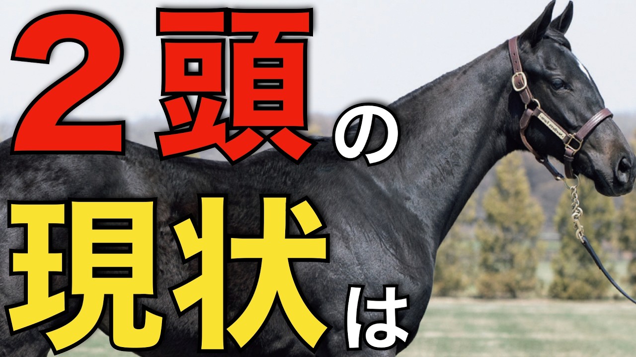 この2頭からは目が離せない！キタサンブラックとコントレイルの現状を徹底分析。