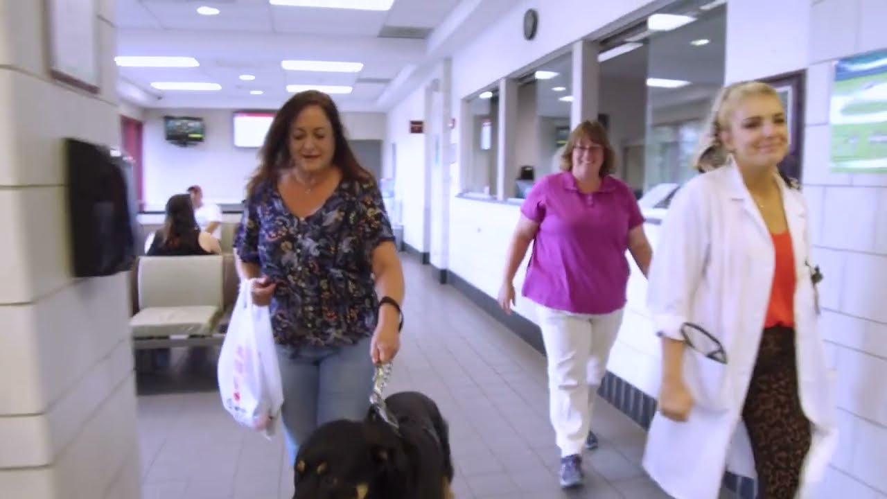 Присоединяйтесь к Колледжу ветеринарной медицины Корнелльского университета