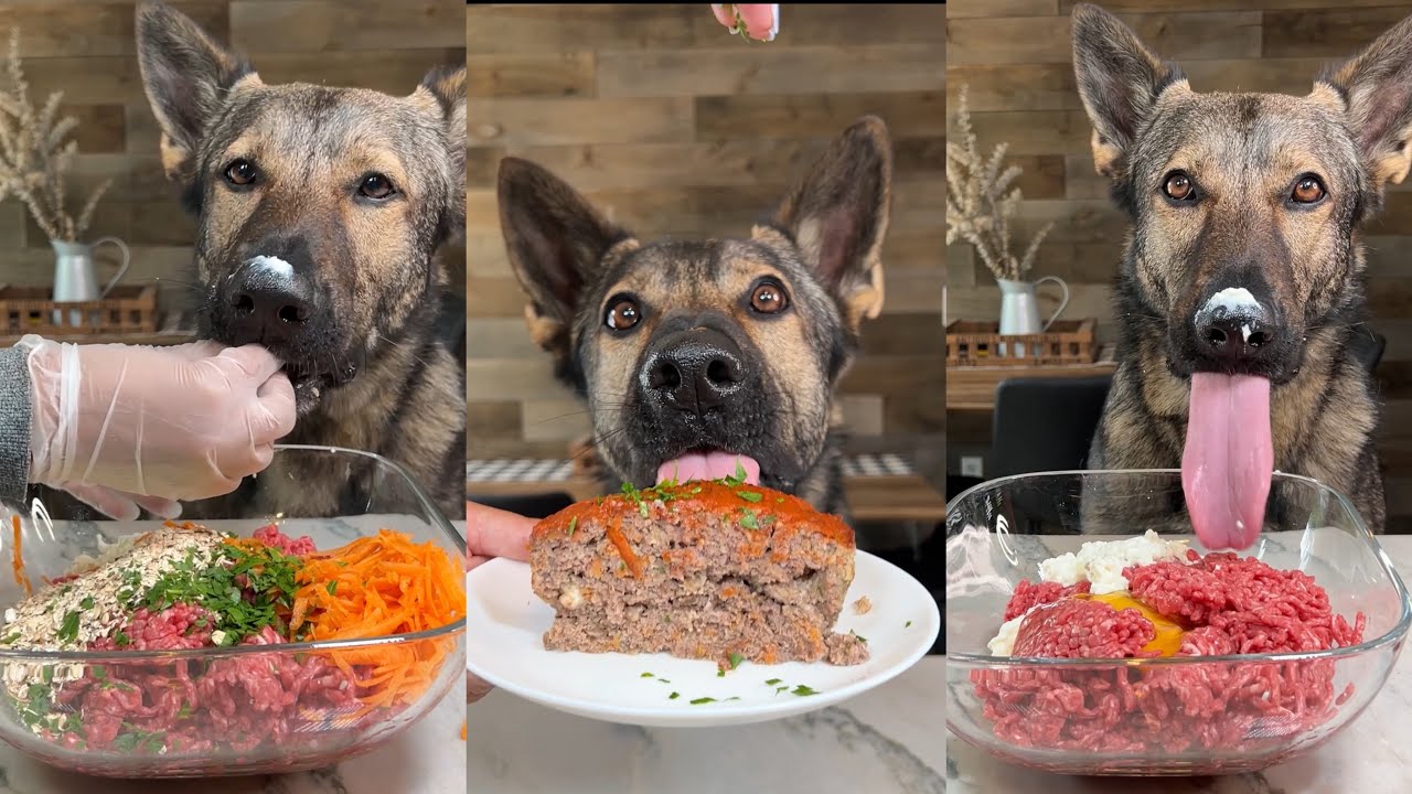 Easy Meatloaf For Dogs Recipe