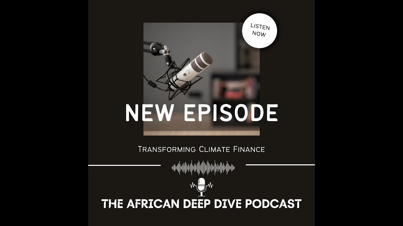 Episode 5: Transforming Climate Finance A COP29 Analysis