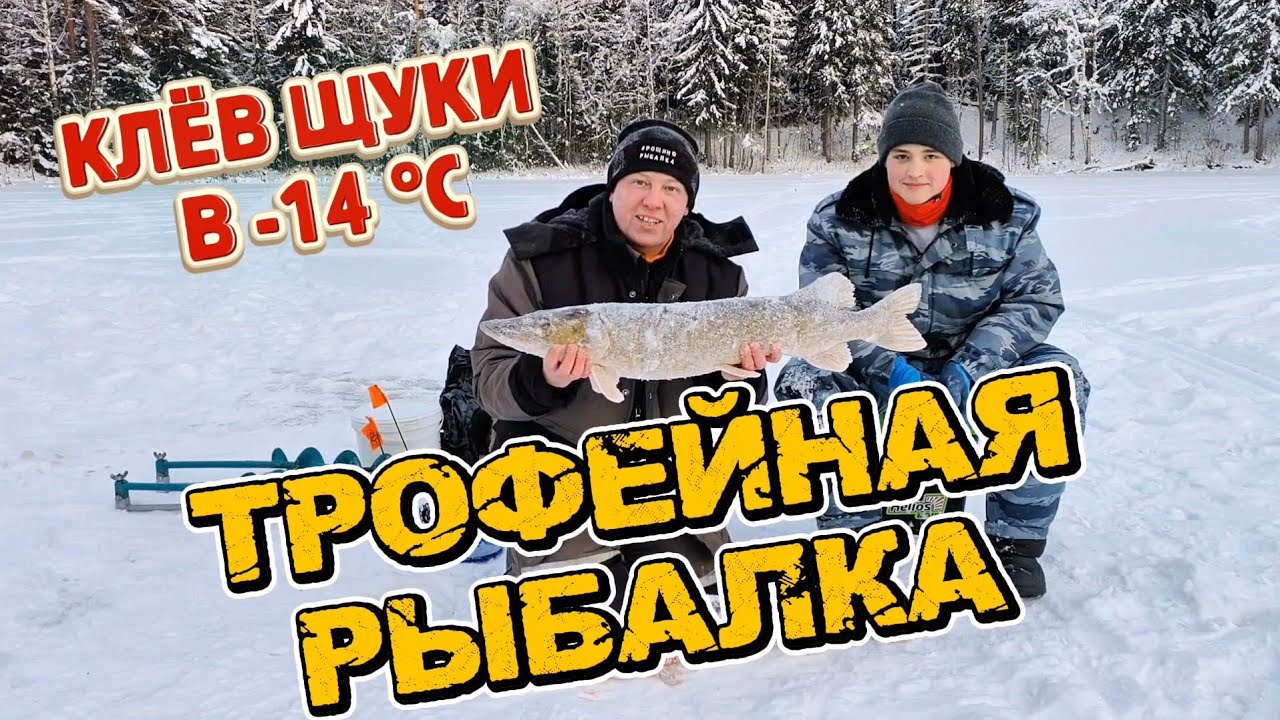 Клёв щуки в -14°C. Трофейная рыбалка на жерлицы.