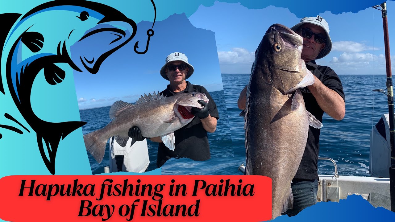 Catching Big Hapuka - Bay of Islands