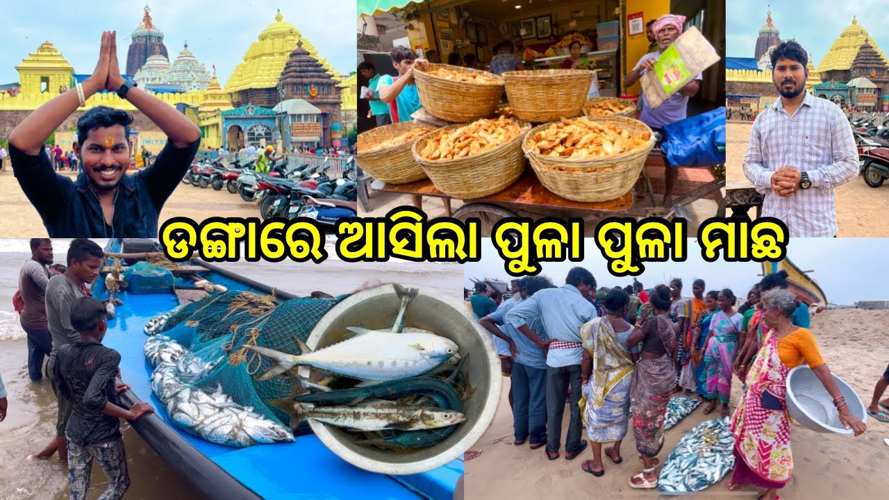 ଆସ ଦେଖିବା ସମୁଦ୍ରରୁ କେମିତି ମାଛ ଆଣିକି ଆସୁଛନ୍ତି @DpEatingShow