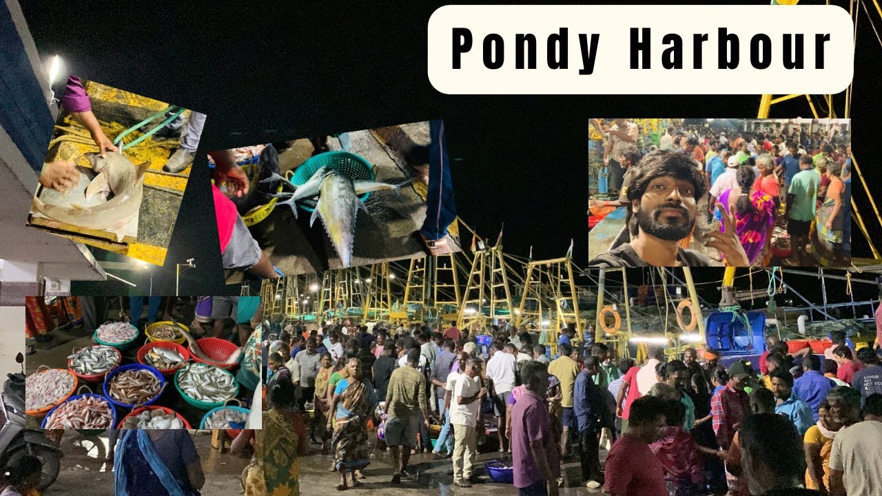 Pondicherry Harbour | auction Fishing 🐟 | Mejone vlogs