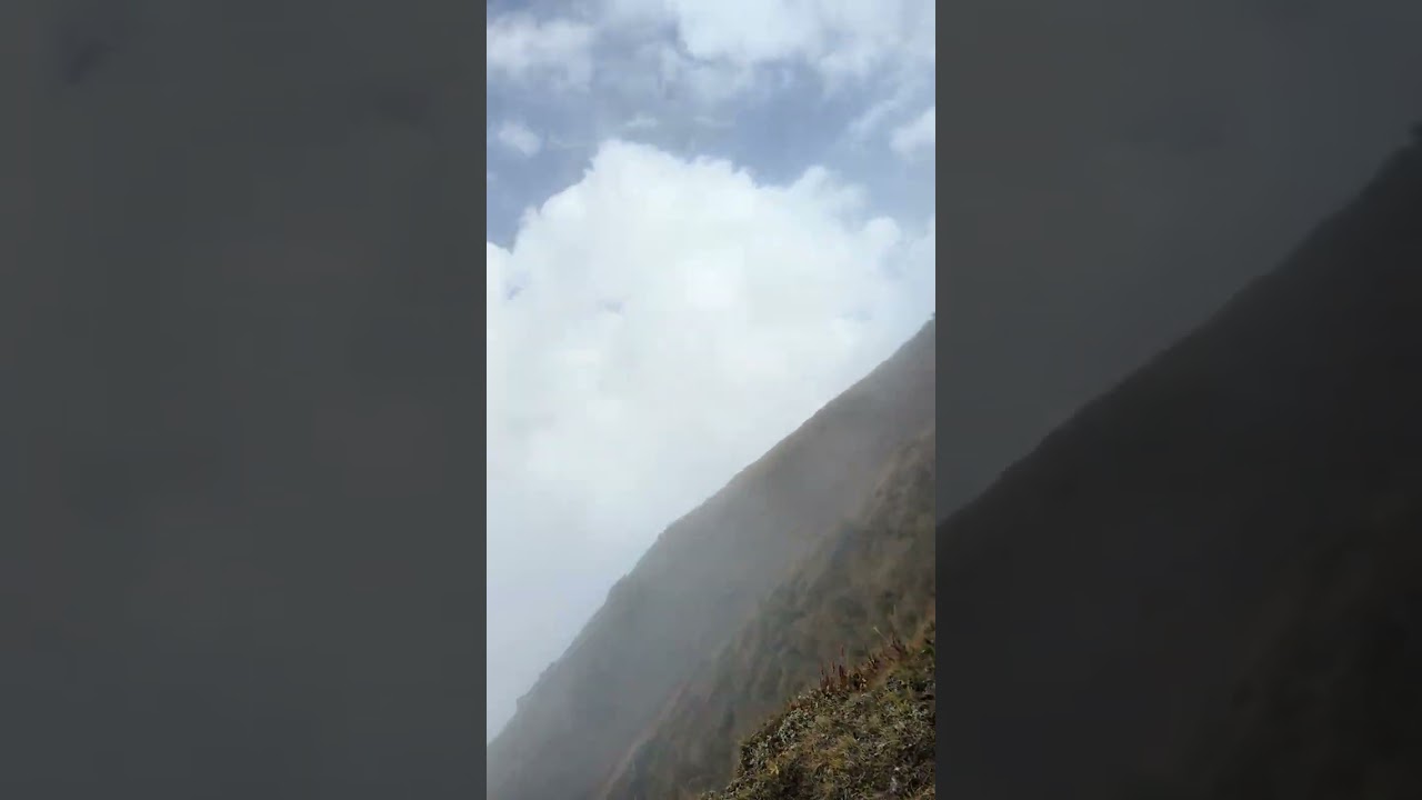 Vasuki tal traking 