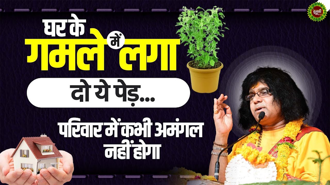 घर के गमले में लगा दो ये पेड़...परिवार में कभी अमंगल नहीं होगा | Acharya Shri Kaushik Ji Maharaj