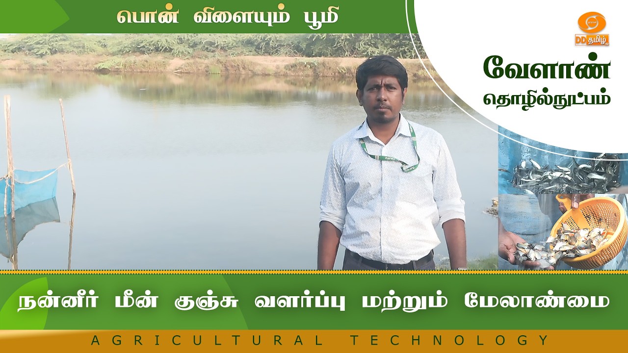 நன்னீர் மீன் குஞ்சு வளர்ப்பு மற்றும் மேலாண்மை | Agriculture Technology