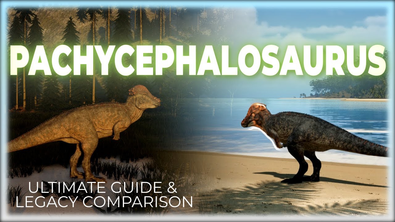 PACHYCEPHALOSAURUS: Ultimate Guide & Legacy Comparison - The Isle Evrima