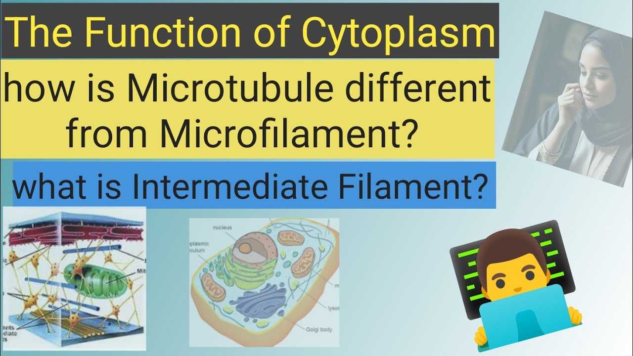 Cytoplasm & Cytoskeleton diagram class 9 | Microtubule & Microfilament drawing easy explaination
