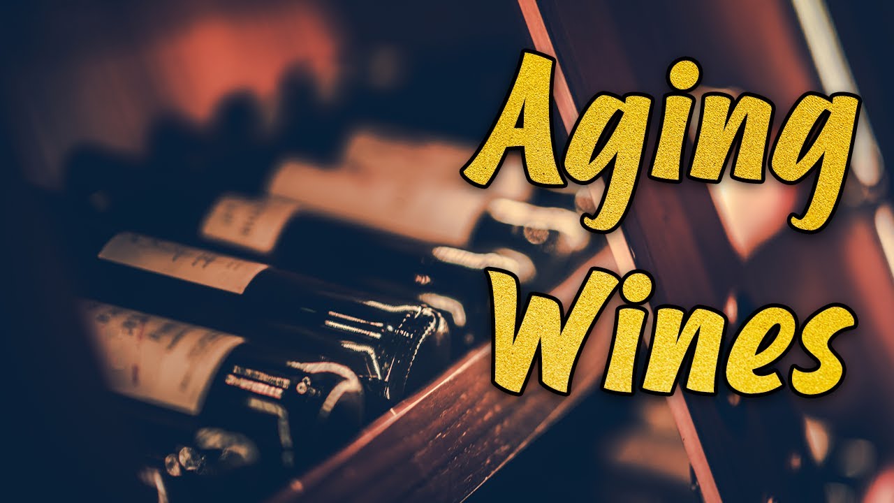 Everything About Aging Wine w/ BODEGA review