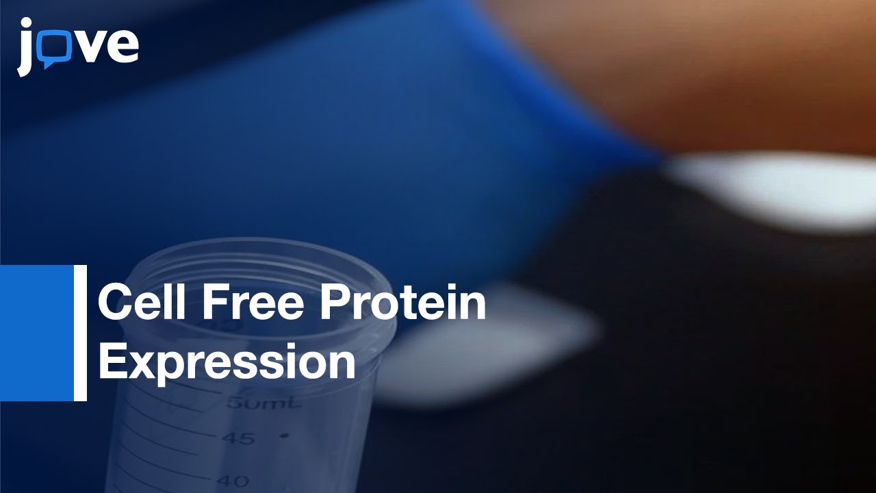Cell Free Protein Expression
