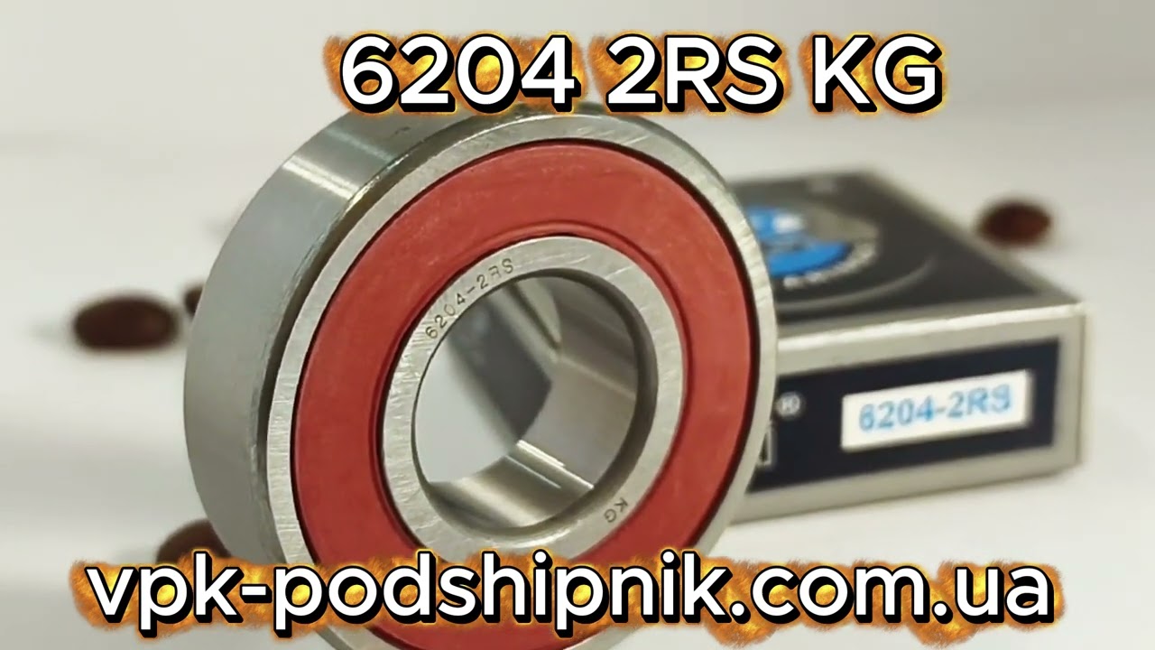 KG 6204 2RS