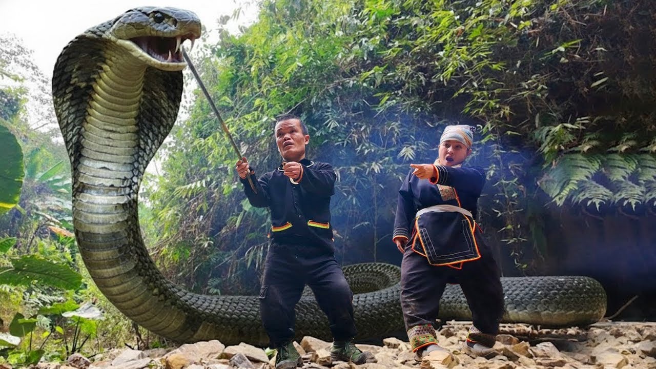 Dwarf Family Faces the World’s Most Venomous Snake and Repairs Forest Shelter