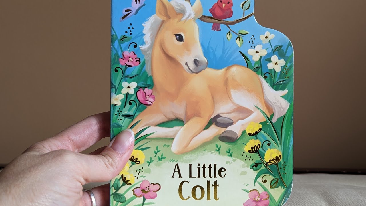 A Little Colt by Rosalee Wren ~ Read Aloud~ Toddler Story Time