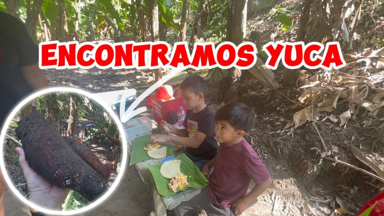 EL PRIMO JONY NOS REGALA YUCA