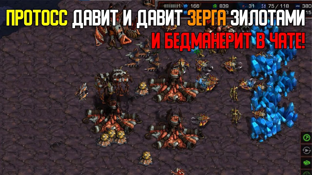Старкрафт P VS Z Давление зилотами от протосса  по всей карте!