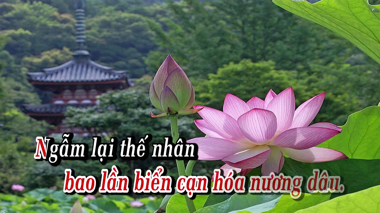 Cảnh Khổ Vô Thường
