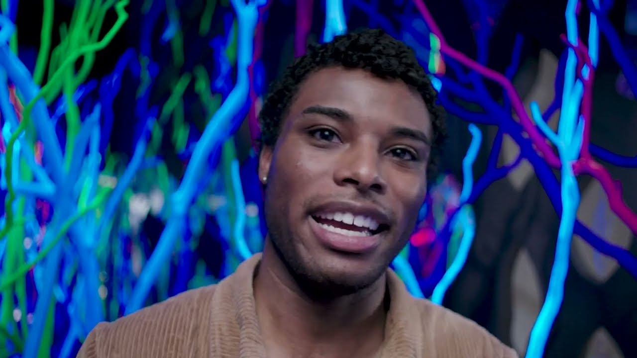 Ever tried describing Meow Wolf to your friends? | Radio Tave