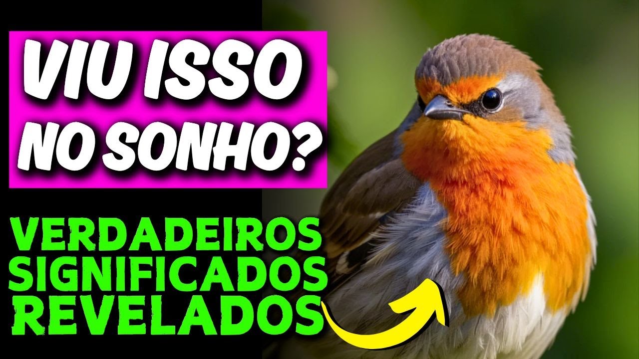 🚨ALERTA🚨 O QUE SIGNIFICA SONHAR COM PASSARINHO E O QUE SE DEVE FAZER APÓS TER ESSE SONHO