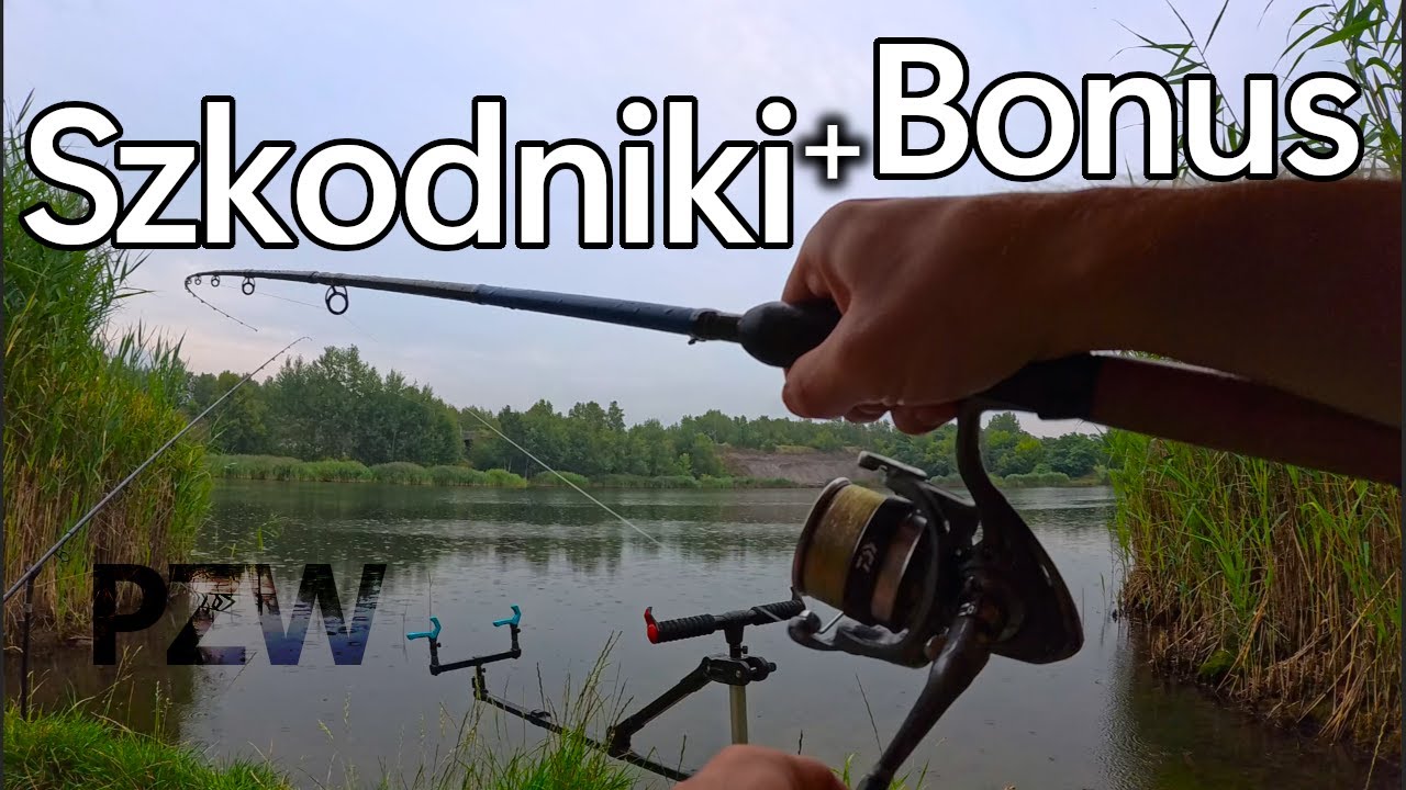 Woda Ta Znika z Mapy PZW?! 4h Łowienia Metodą Method Feeder i Tylko Jeden Prawdziwy Zawodnik!