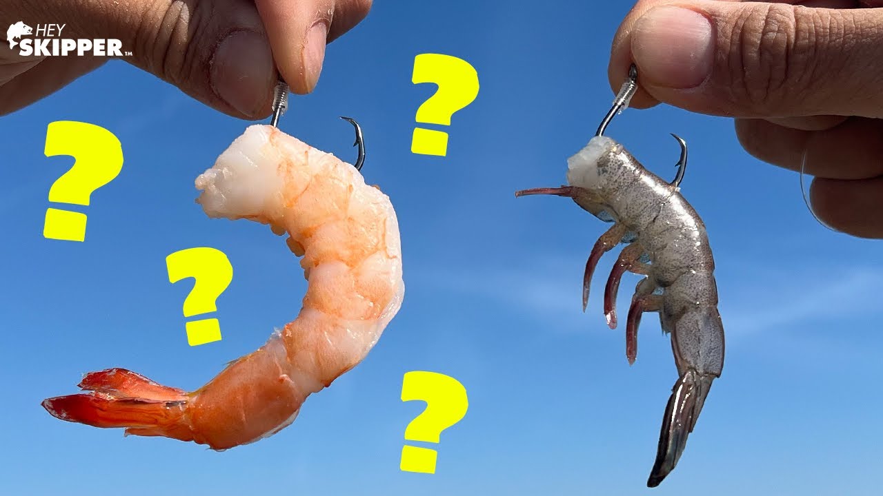Готовые креветки для наживки на рыбалке? (УДИВИТЕЛЬНЫЕ РЕЗУЛЬТАТЫ!)