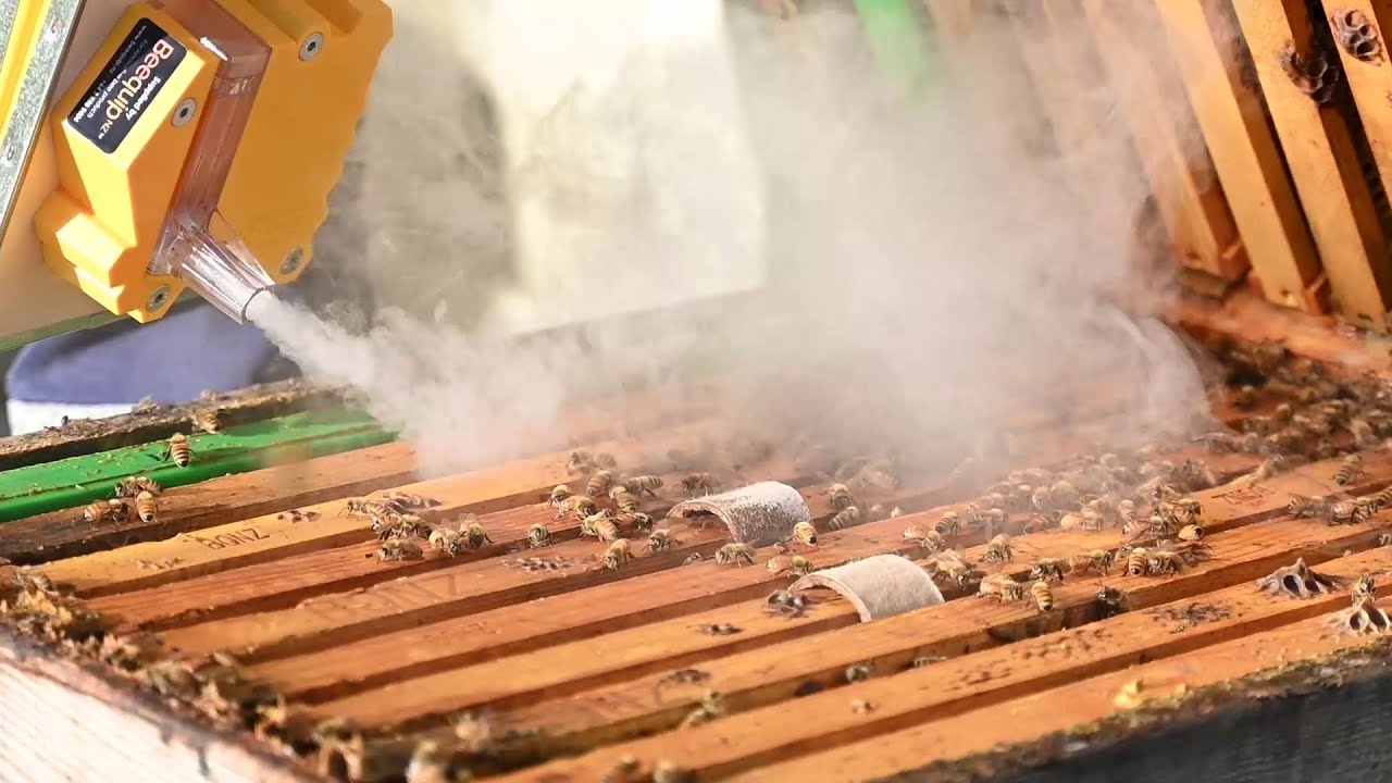 Getting started with the Apisolis Non-Toxic Smoker