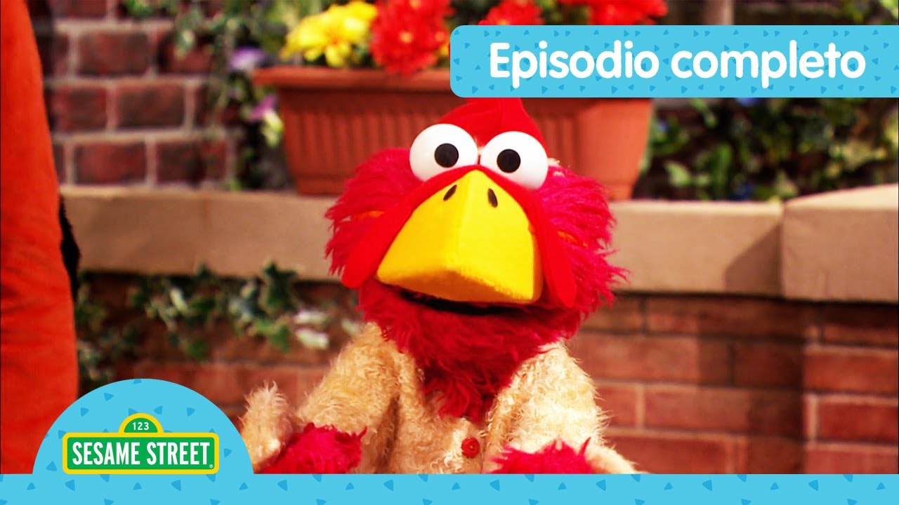 Escuela para Pollitos 🐥 | Sesame Street en Castellano | Episodio Completo