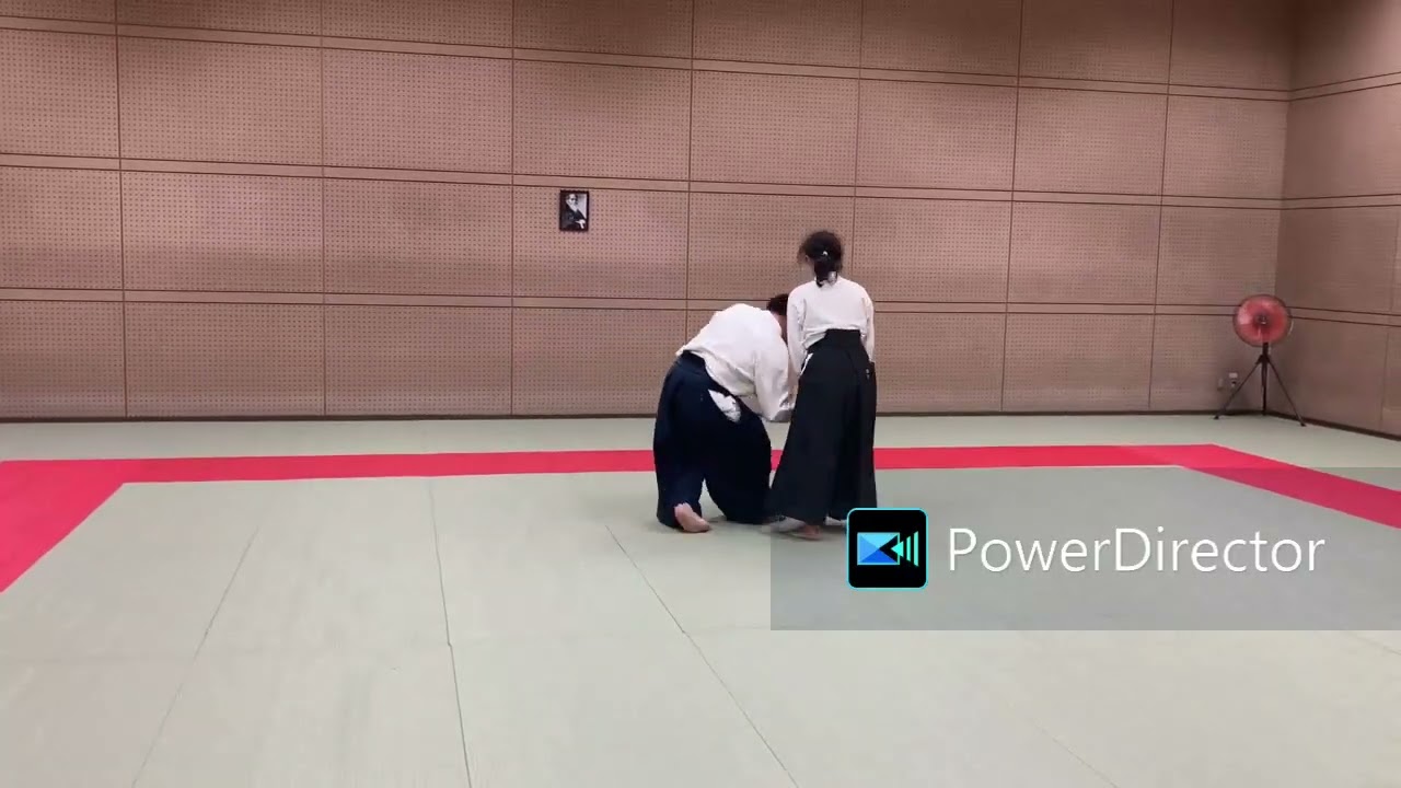 【一つの考え】片手取り自由技　合気道山彦会aikido yamabikokai