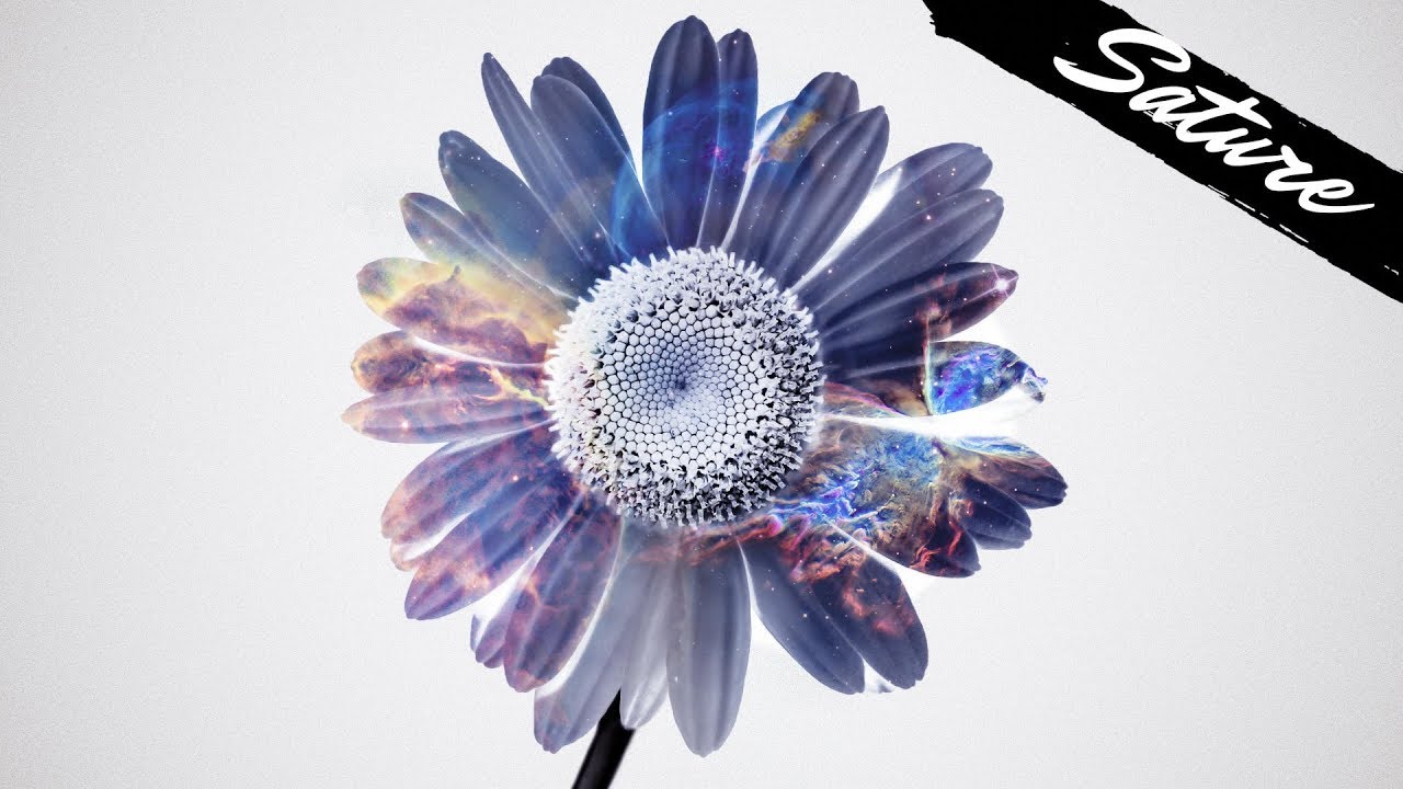 Dario Rosati - Delizia