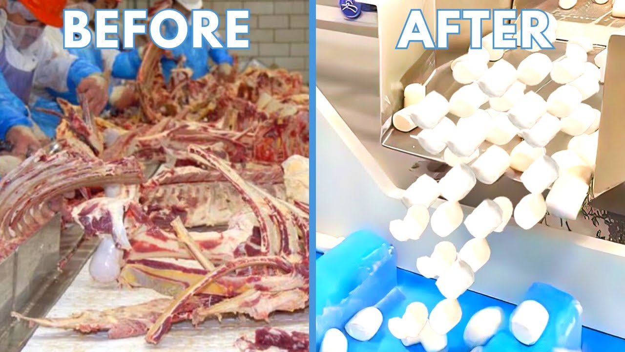 This Is How Marshmallows Are Made, It’s Way Worse Than You Thought!