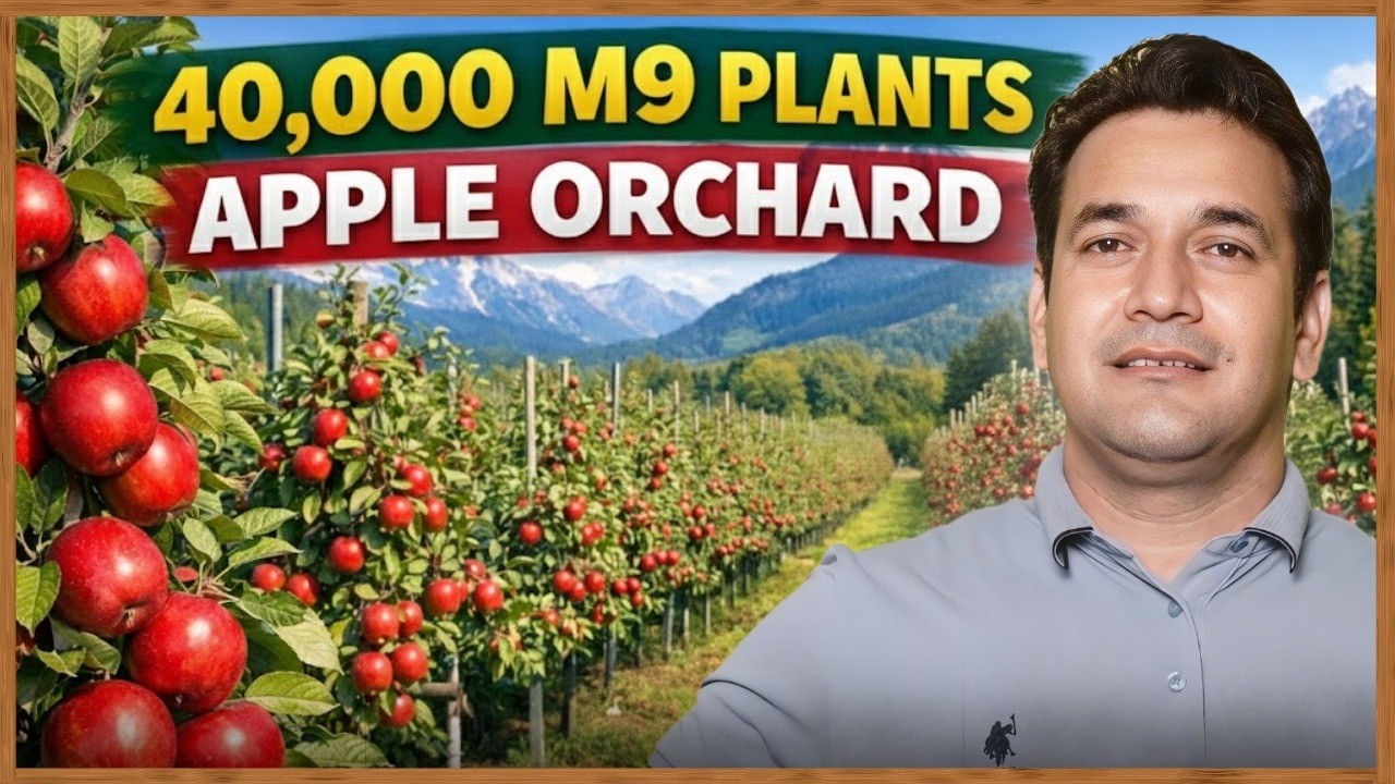 Jumla Nepal mein 40K M9 plants orchard, Khetyari Consultancy ke saath strong growth. 🌱🍎