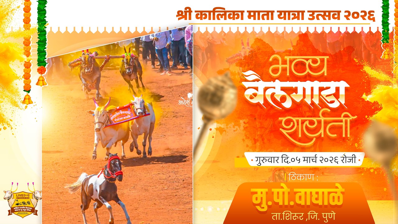 🔴Live:श्री कालिकामाता यात्रा उत्सव २०२६ || भव्य बैलगाडा शर्यत | पहिला दिवस | वाघाळे ता.शिरुर जि.पुणे