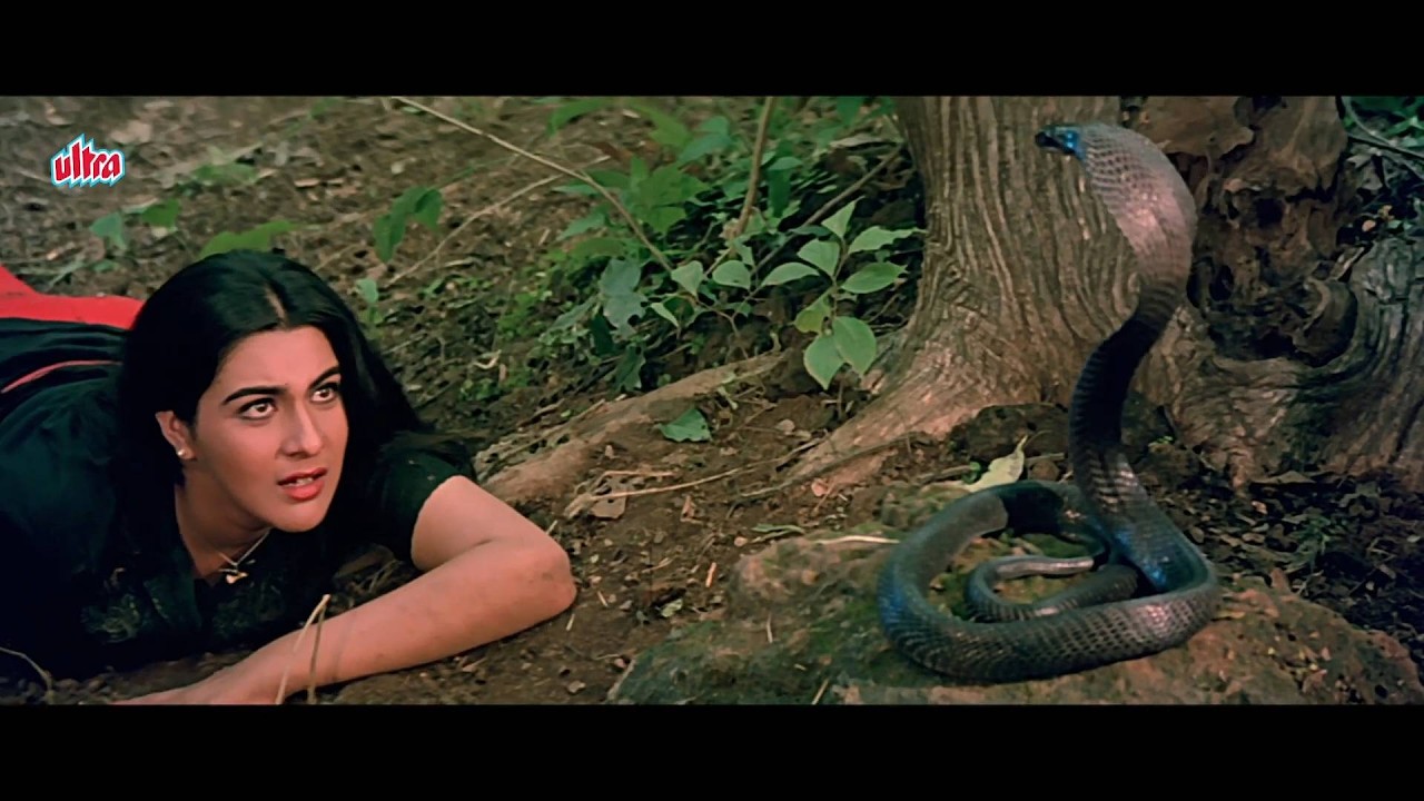 सांप ने डंसा अमृता को कैसे सनी देओल ने बचाई जान | Betaab Scene 4 | Sunny Deol, Amrita S, Shammi K
