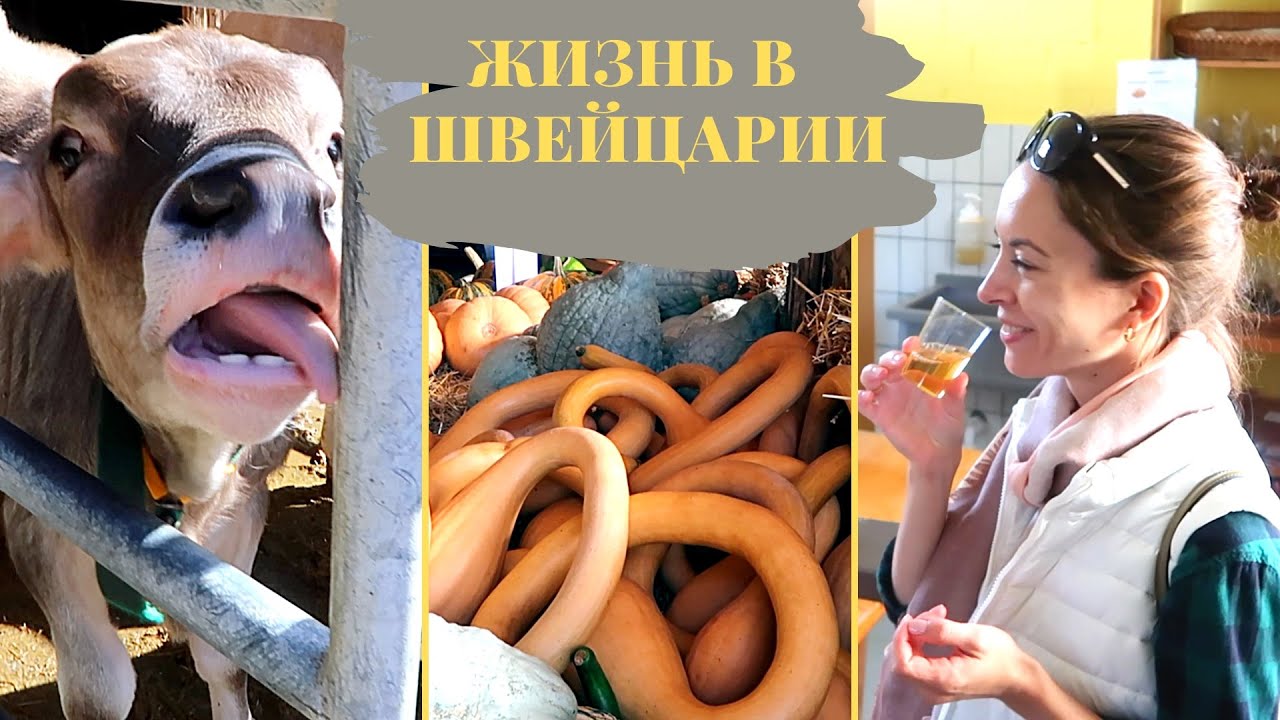 Магазины основанные на доверии | Жизнь в деревне в Швейцарии